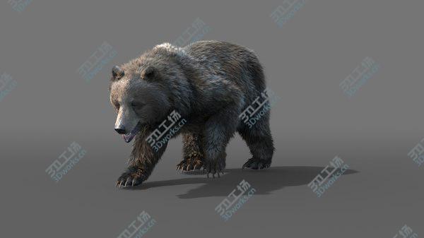 images/goods_img/20210312/3D bear FUR RIGGED ANIMATED/3.jpg